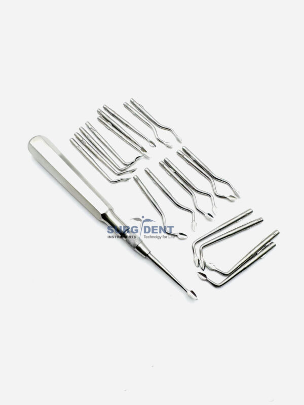 Bernard Root Elevator Interchangeable Syndesmotome