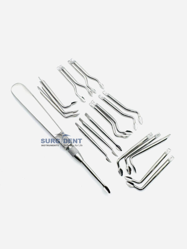 Dental Bernard Root Elevator Syndesmotome